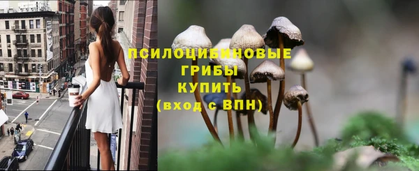 MESCALINE Новозыбков