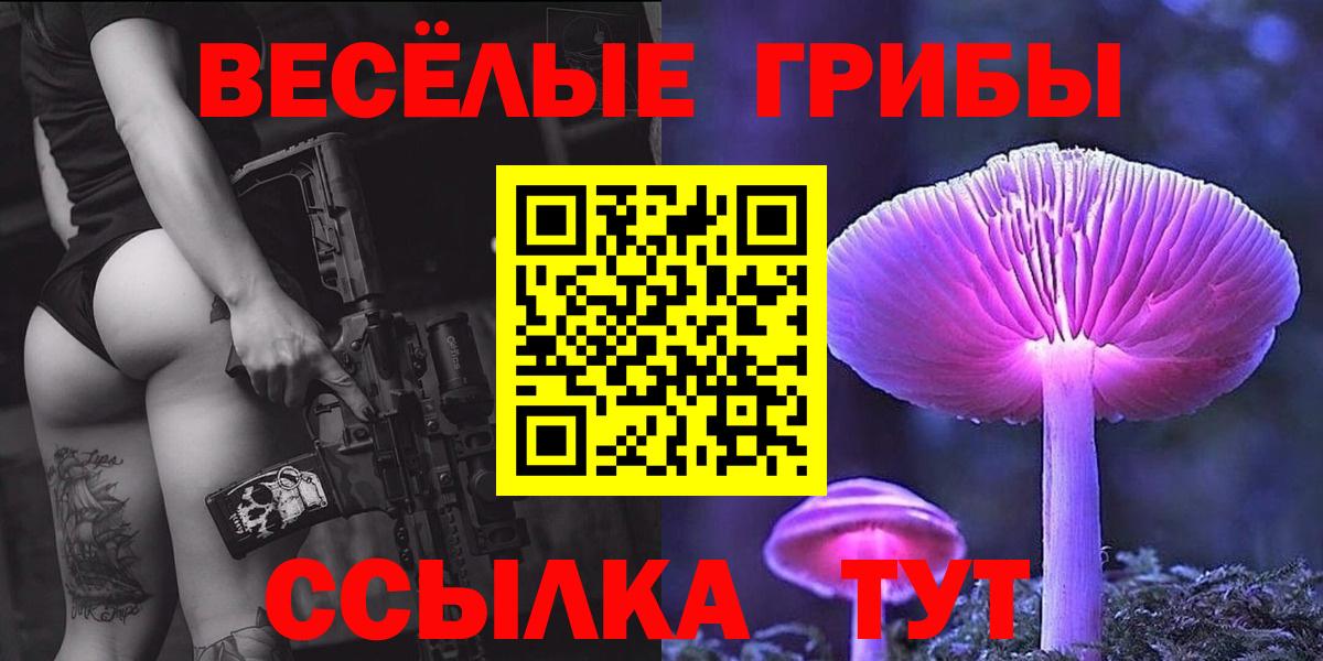 купить   Вход с VPN  Крымск  Псилоцибиновые грибы Magic Shrooms  Галлюциногенные грибы MAGIC MUSHROOMS 