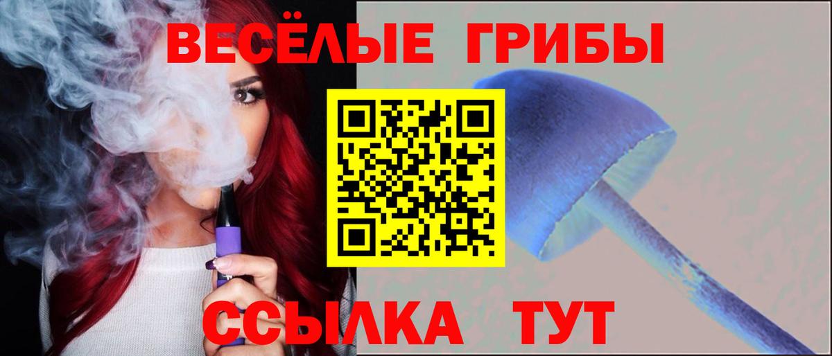 Галлюциногенные грибы Psilocybine cubensis Крымск